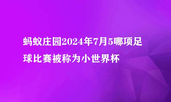 蚂蚁庄园2024年7月5哪项足球比赛被称为小世界杯