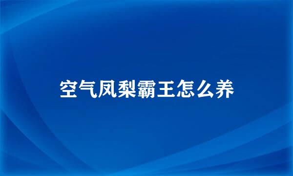 空气凤梨霸王怎么养