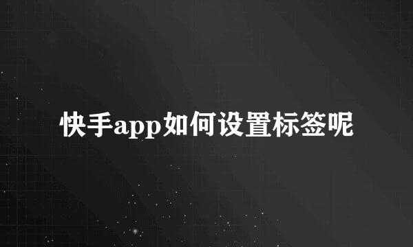 快手app如何设置标签呢