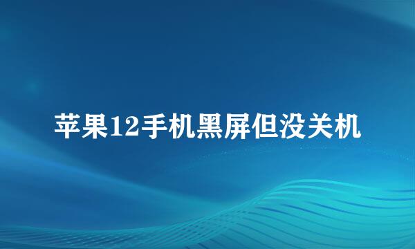苹果12手机黑屏但没关机