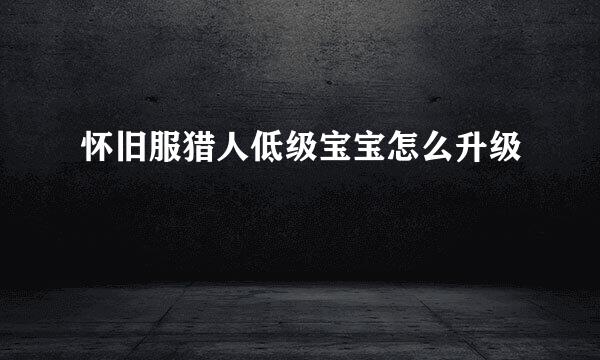 怀旧服猎人低级宝宝怎么升级