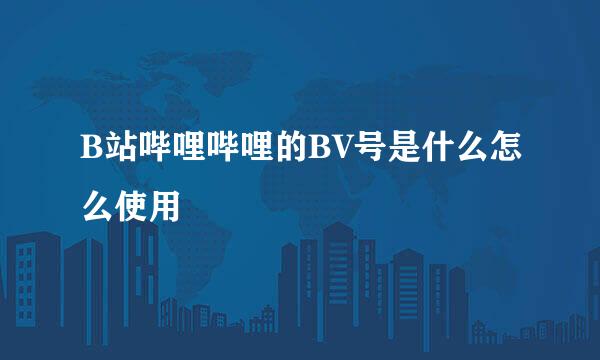 B站哔哩哔哩的BV号是什么怎么使用