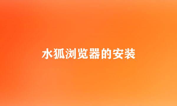 水狐浏览器的安装