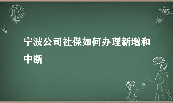 宁波公司社保如何办理新增和中断