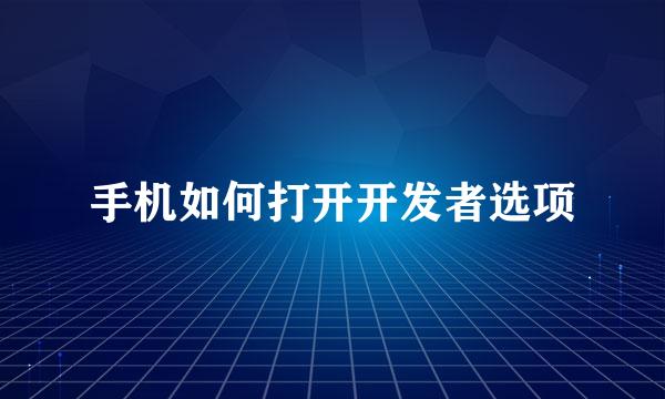 手机如何打开开发者选项