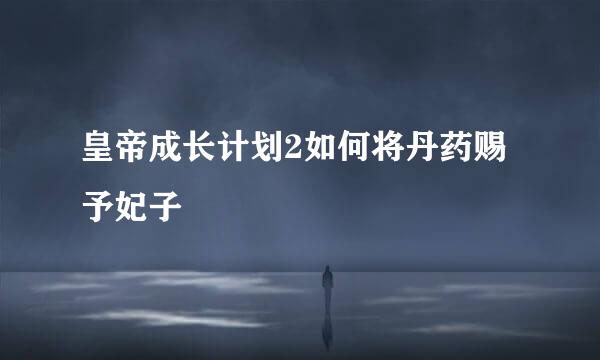 皇帝成长计划2如何将丹药赐予妃子