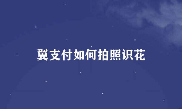 翼支付如何拍照识花