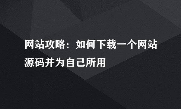 网站攻略：如何下载一个网站源码并为自己所用