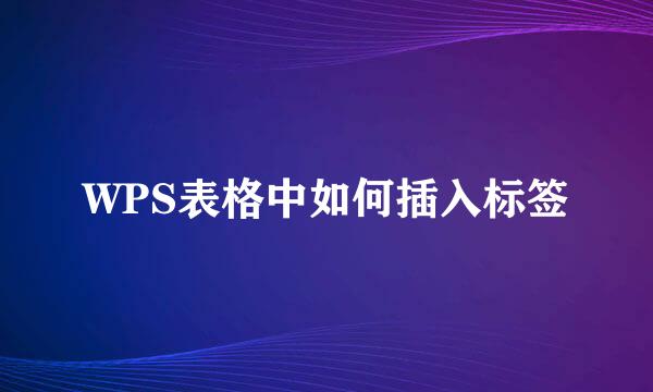 WPS表格中如何插入标签