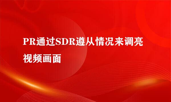PR通过SDR遵从情况来调亮视频画面