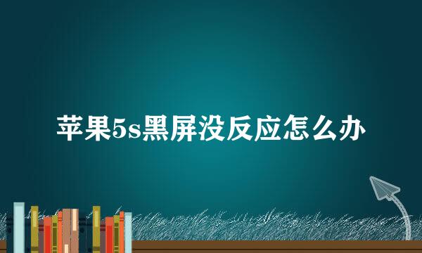 苹果5s黑屏没反应怎么办