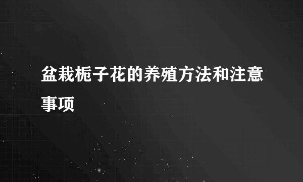 盆栽栀子花的养殖方法和注意事项