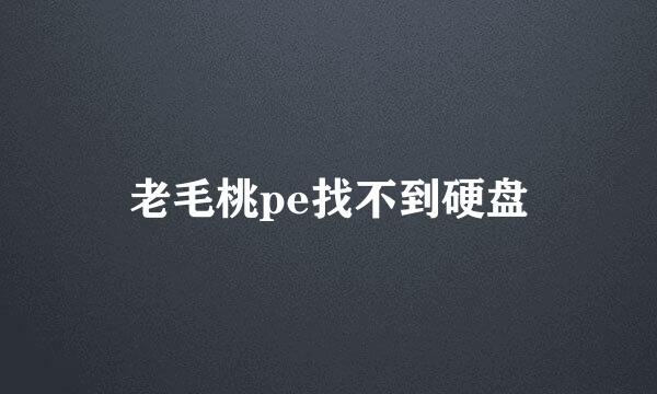 老毛桃pe找不到硬盘