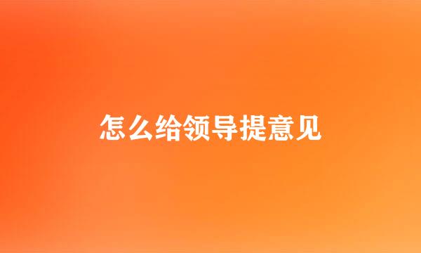 怎么给领导提意见