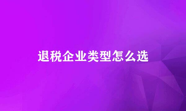 退税企业类型怎么选
