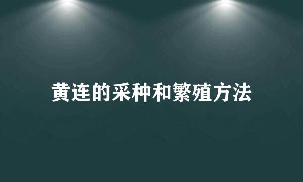 黄连的采种和繁殖方法