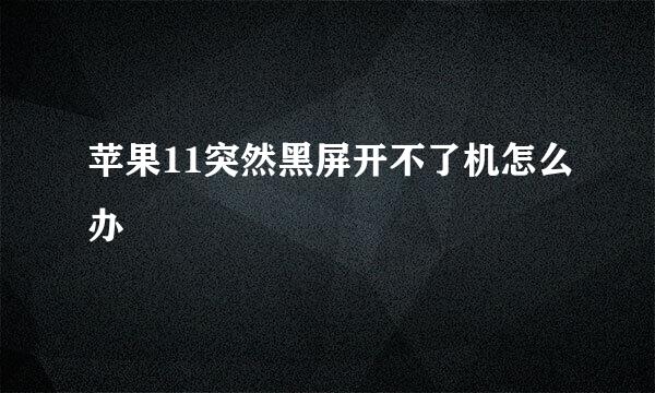 苹果11突然黑屏开不了机怎么办