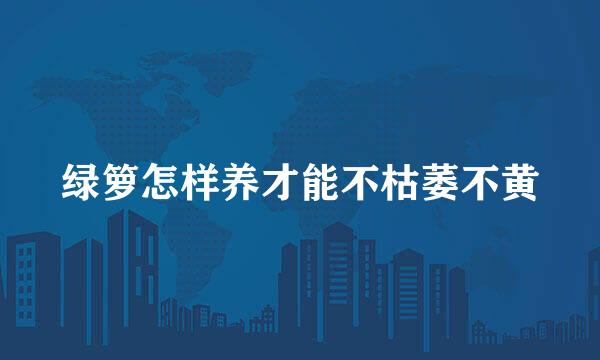 绿箩怎样养才能不枯萎不黄