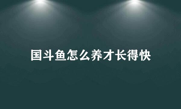 国斗鱼怎么养才长得快