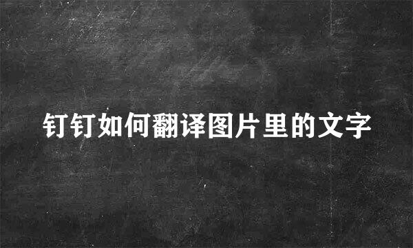 钉钉如何翻译图片里的文字