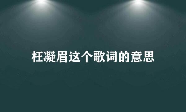 枉凝眉这个歌词的意思
