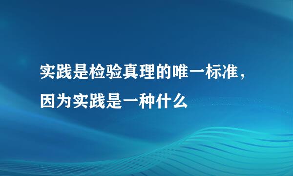实践是检验真理的唯一标准，因为实践是一种什么