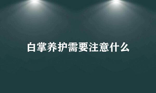 白掌养护需要注意什么