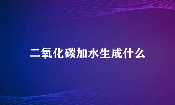 二氧化碳加水生成什么