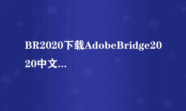 BR2020下载AdobeBridge2020中文版安装教程