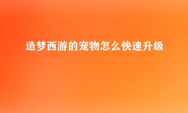 造梦西游的宠物怎么快速升级