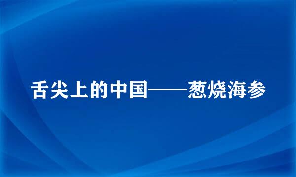 舌尖上的中国——葱烧海参