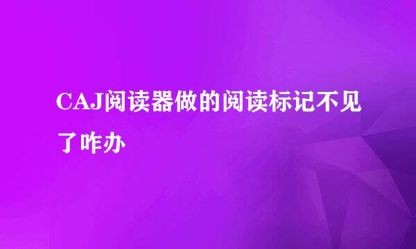 CAJ阅读器做的阅读标记不见了咋办