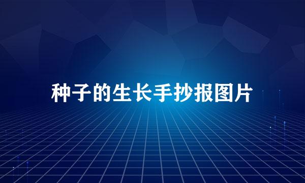 种子的生长手抄报图片