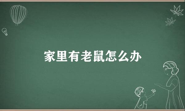 家里有老鼠怎么办