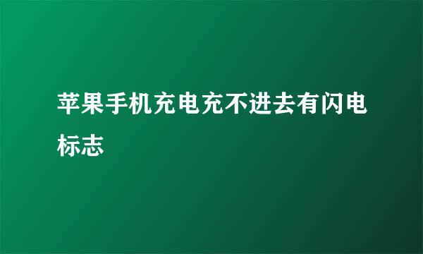 苹果手机充电充不进去有闪电标志