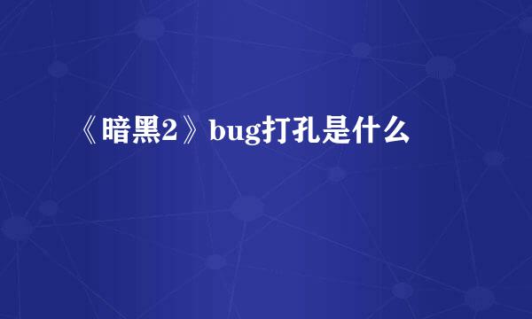 《暗黑2》bug打孔是什么
