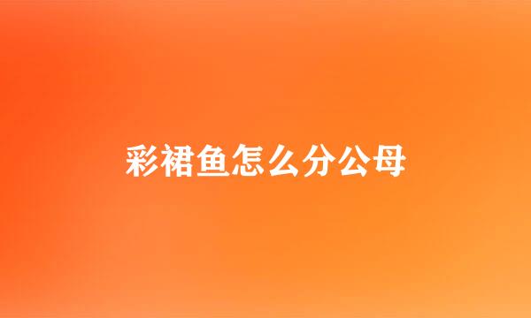 彩裙鱼怎么分公母