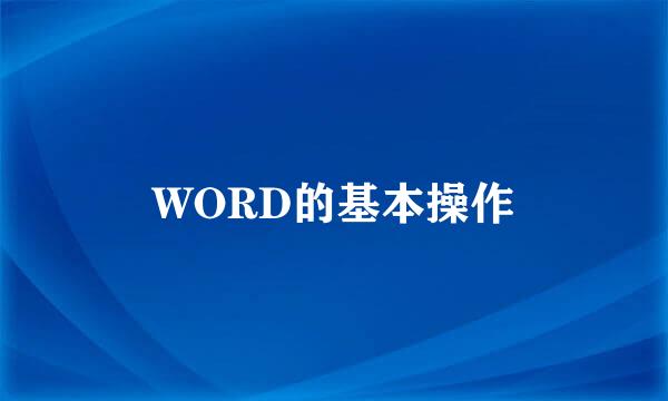 WORD的基本操作