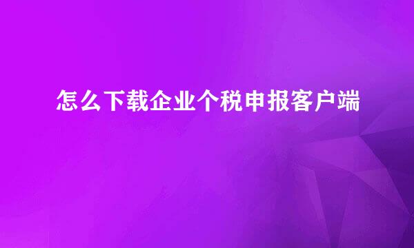 怎么下载企业个税申报客户端