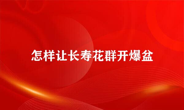 怎样让长寿花群开爆盆