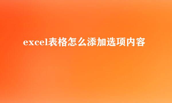 excel表格怎么添加选项内容