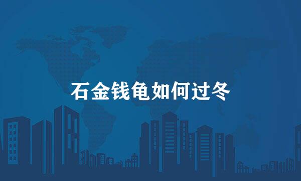 石金钱龟如何过冬