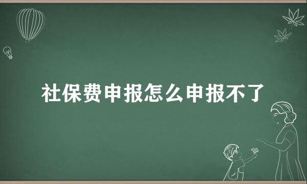 社保费申报怎么申报不了