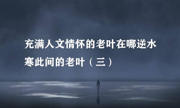 充满人文情怀的老叶在哪逆水寒此间的老叶（三）