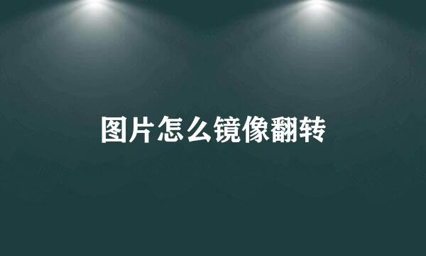 图片怎么镜像翻转