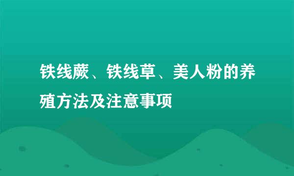 铁线蕨、铁线草、美人粉的养殖方法及注意事项