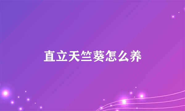 直立天竺葵怎么养