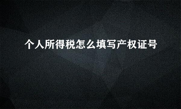 个人所得税怎么填写产权证号