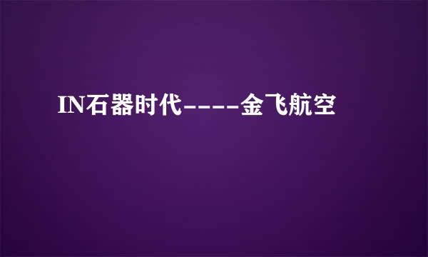IN石器时代----金飞航空