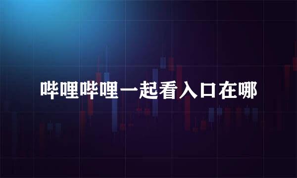 哔哩哔哩一起看入口在哪